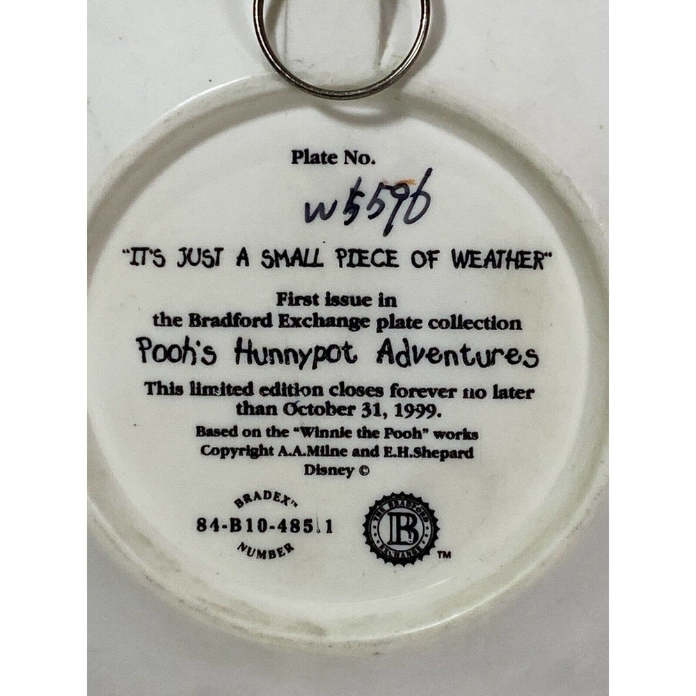 Bradford Exchange Pooh's Hunnypot “IT'S JUST A SMALL PIECE OF WEATHER” 3D Plate - Picture 6 of 6